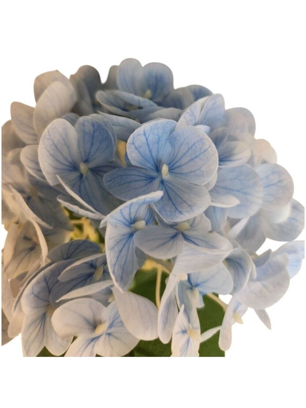 Soft Blue Artificial Hydrangea Stem Silk Flower Light Faux Floral Wedding Decor - Picture 7 of 12